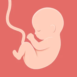 HiMommy: Schwangerschafts-App
