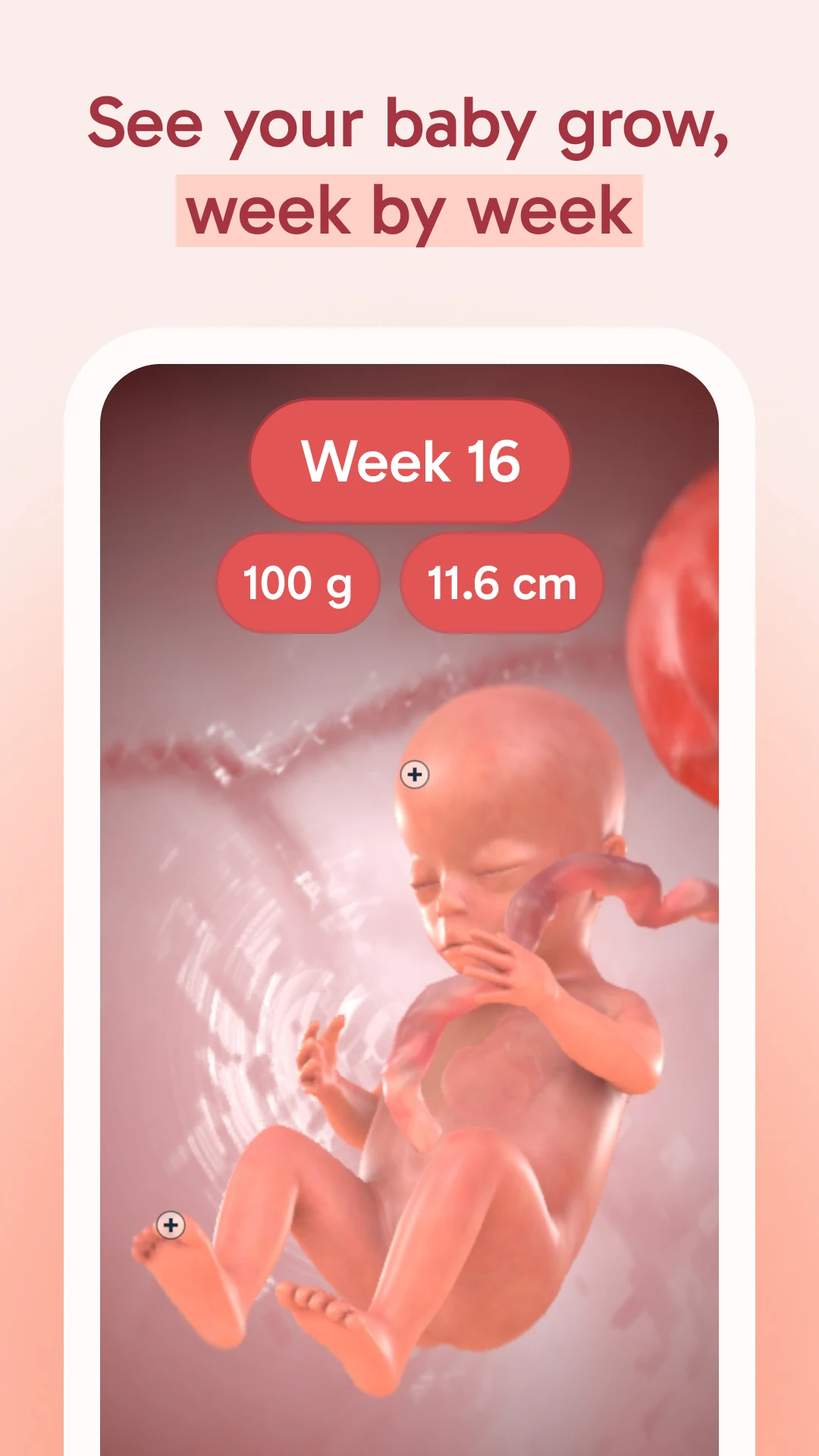 HiMommy: Pregnancy Tracker screenshot